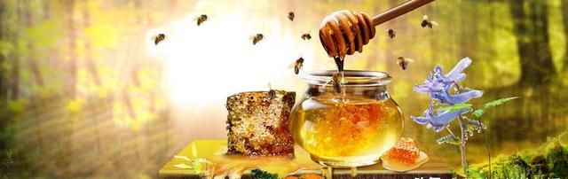 蜂蜜水的功效与作用图4
