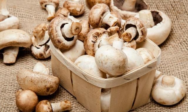 新鲜蘑菇怎么做好吃 新鲜蘑菇煮多久可以熟