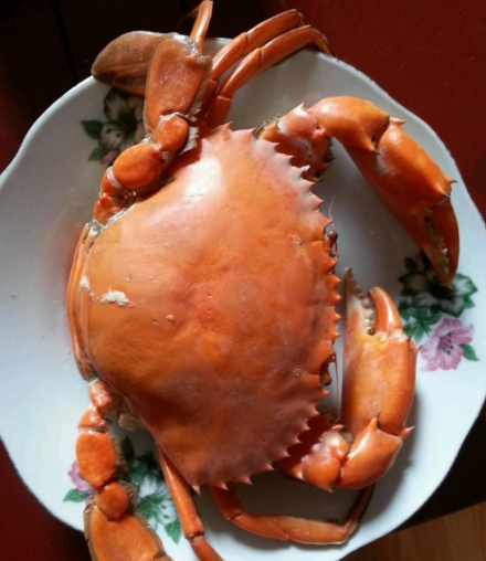 螃蟹最好吃的做法，在家简单4步10分钟搞定美食，细嫩多汁爽极了