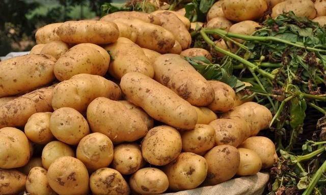 土豆表皮变绿后真的带毒素吗？人吃了有害吗？土豆怎样吃最安全？