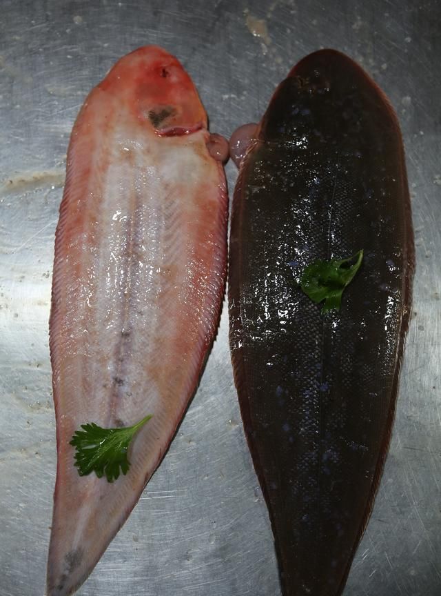 这三种鱼都叫舌头鱼，价格差别大，一种很贵，另两种十几元一斤