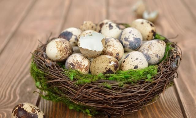 常吃鹌鹑蛋对身体有哪些好处？营养专家告诉你答案，不妨来了解