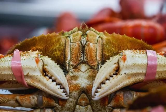 又到吃蟹季，刚死的螃蟹能吃吗？螃蟹什么部位不能吃？