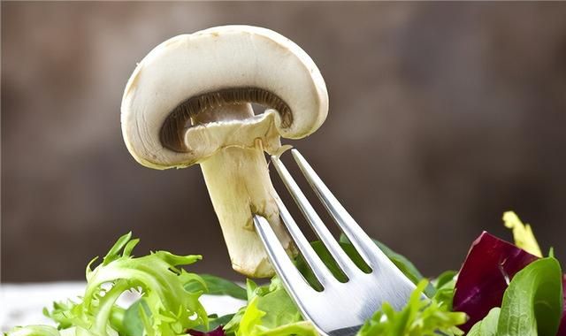 实用贴 | 鲜蘑菇怎样才能长期保存？3招搞定