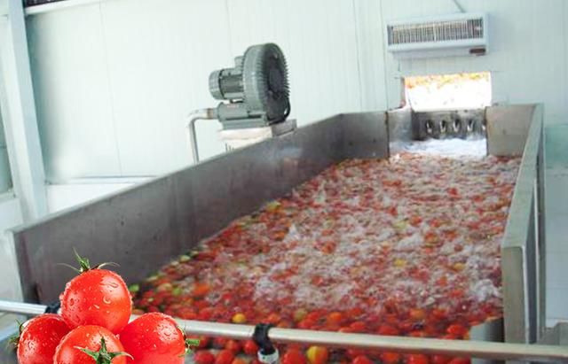 你知道番茄酱的三大功效与作用吗，番茄酱生产加工流程是什么？