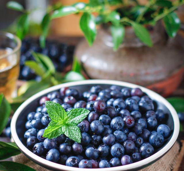 蓝莓丨春季的“高端水果”熟了！你品尝了吗？
