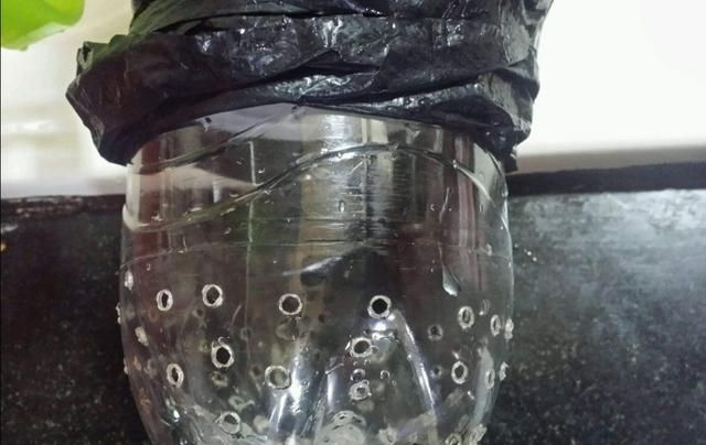 废旧塑料瓶不要扔，可以用来生豆芽菜，方法很简单