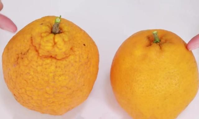 买橘子时，丑橘和耙耙柑要分清，区别挺大，弄懂再买少花冤枉钱