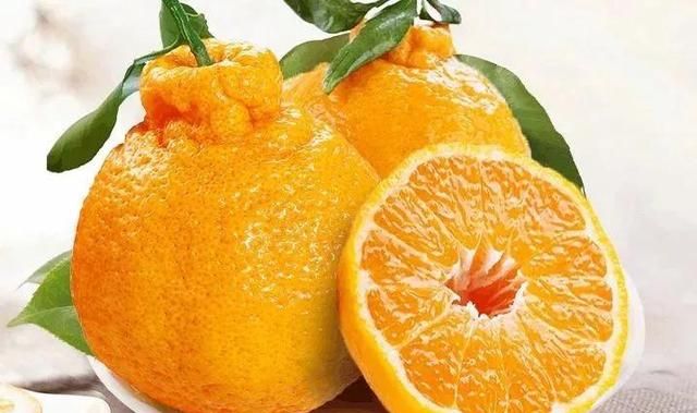 买橘子时，丑橘和耙耙柑要分清，区别挺大，弄懂再买少花冤枉钱