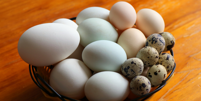 家庭自制皮蛋，个个流心好吃，方法简单成本低，5天就能吃