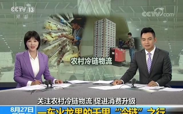 央视全程跟踪，广西火龙果从南宁采摘到西安上市不超24小时