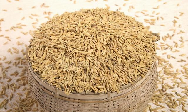米糠是什么？有什么营养价值？米糠的饲喂比例和注意事项有哪些？
