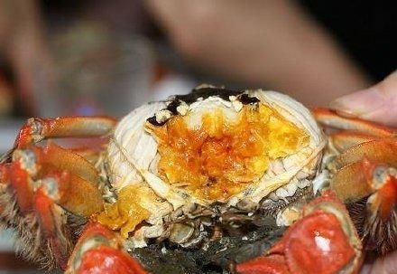 螃蟹的8种做法 你最喜欢哪一种吃法呢？
