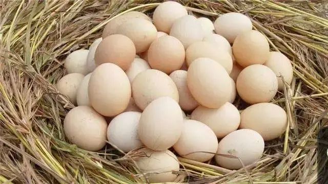吃鸡蛋会发胖吗？