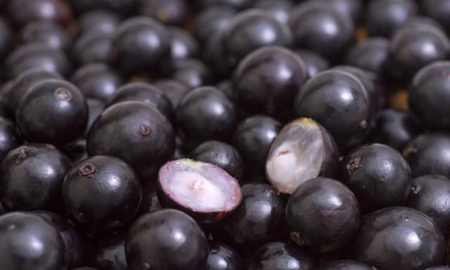 酷似葡萄的嘉宝果有什么营养？