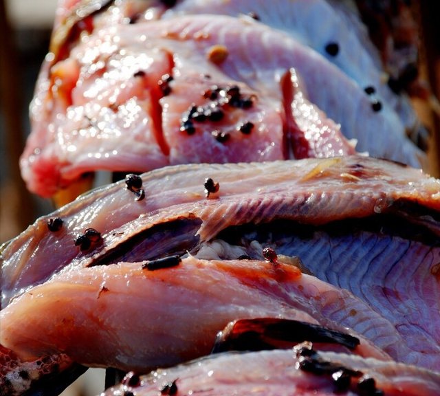 腌腊鱼，不要直接加盐腌，多做2个步骤，鲜嫩紧实香味足，不发臭