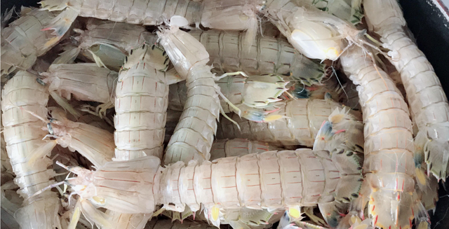 皮皮虾最好吃的5种做法，每种都简单美味，看看你喜欢吃哪种？