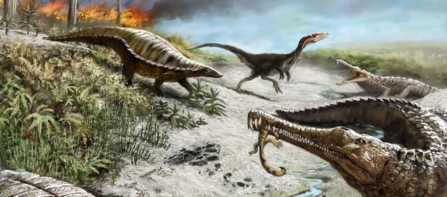 2.34亿年前，一场大雨下了200万年，致使地球进入全面恐龙时代