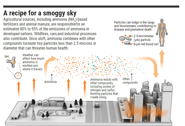 科学家刚刚发现雾霾中鲜为人知的成分，危害却很大