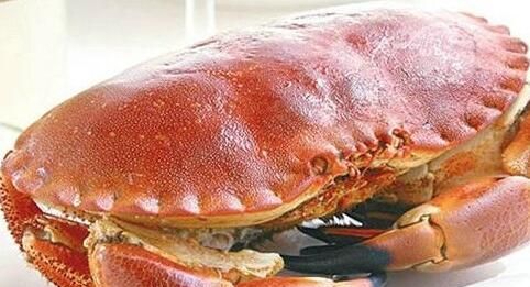 面包蟹为什么叫面包蟹 面包蟹为什么都是母蟹