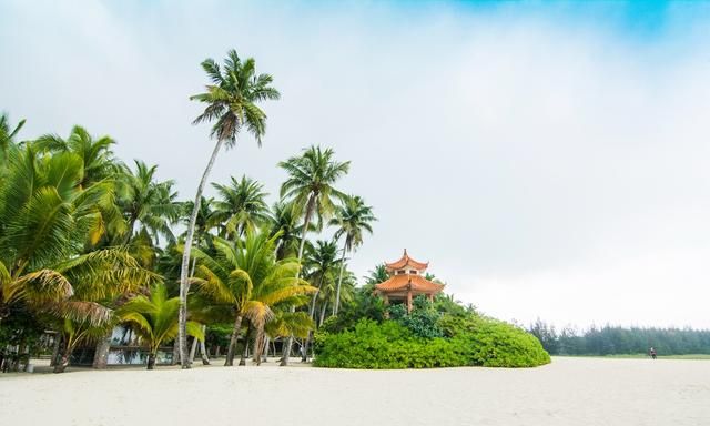 中国椰子第一多的乡镇，位于海南文昌，椰林海滩美成画，游客不多