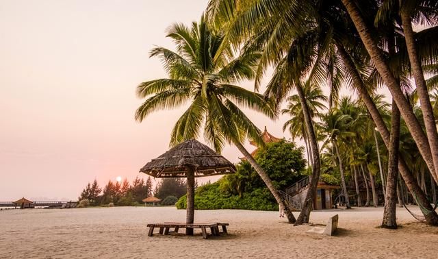 中国椰子第一多的乡镇，位于海南文昌，椰林海滩美成画，游客不多