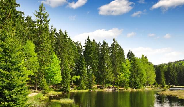 森林对人类的七大好处你知道吗？