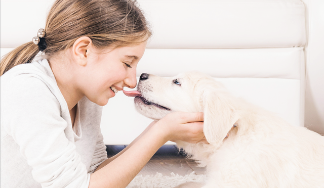 有一种出名的狗叫做舔狗，舔狗的由来，行为和医学原因