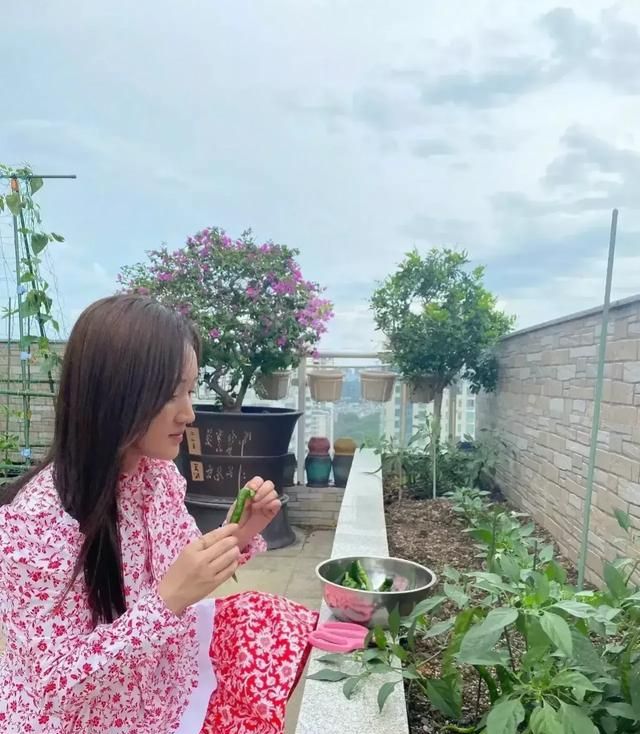 51岁的杨钰莹，豪宅种蔬菜，精致如少女，生活太自在