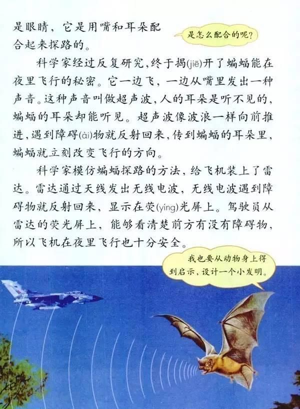 小学课本居然写错了？雷达的发明，其实跟蝙蝠没有任何关系