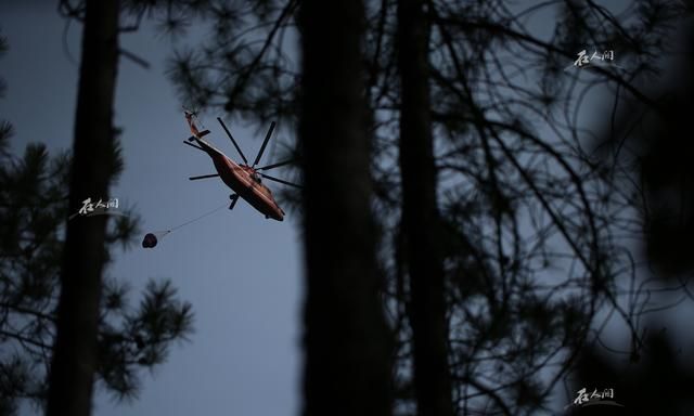 多图丨“待到山花烂漫时”——一名森林消防员发自救援一线的影像记录