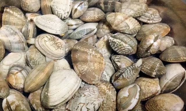 15种常见的贝壳类海鲜，你见过几种？绝大多数人只见过2~3种
