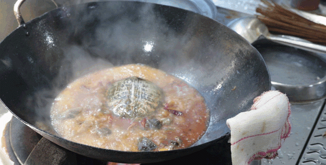 红烧甲鱼用不用焯水？大厨教你正确做法，肉糯味美，营养更丰富