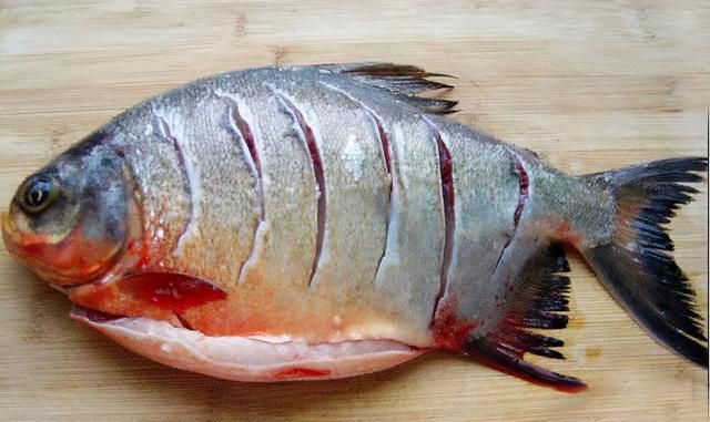 钓条不认识的鱼，肚皮是红色的，差点被咬伤，网友：食人鱼？