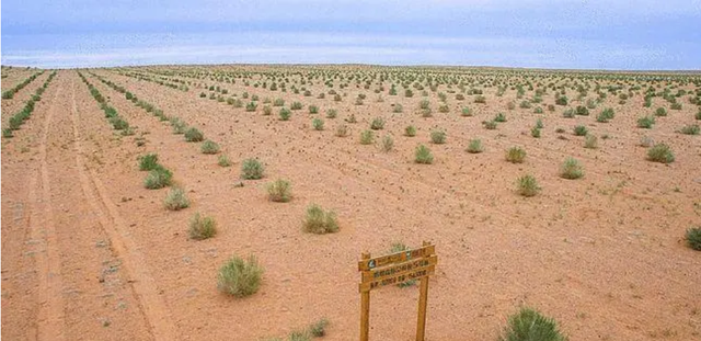 沙漠化导致农牧业受损，能否把沙漠都变成森林呢？专家：将是灾难