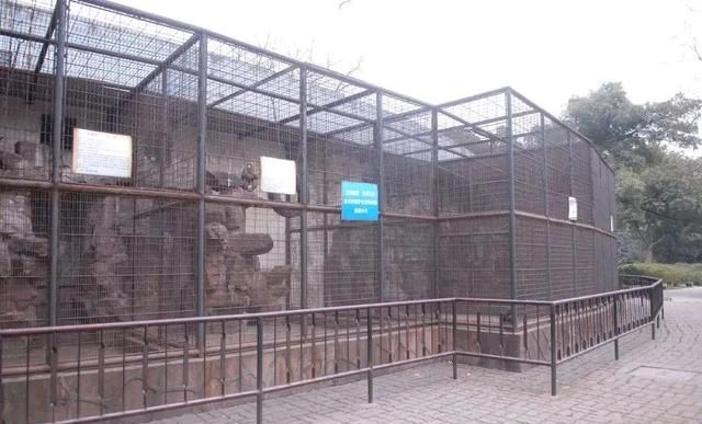 锡城往事：无锡动物园演变史