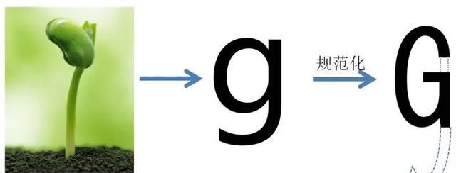 英语笔记7：字母Tt、Dd、Gg的形象和含义