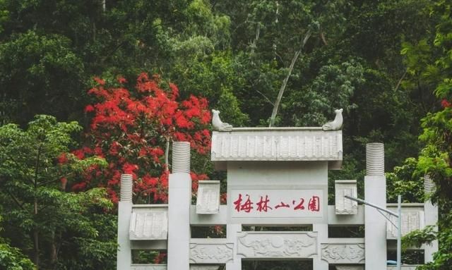 深圳值得去的70个公园，你去过几个？
