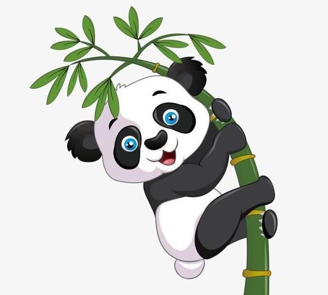 为什么大熊猫会变成国宝图3