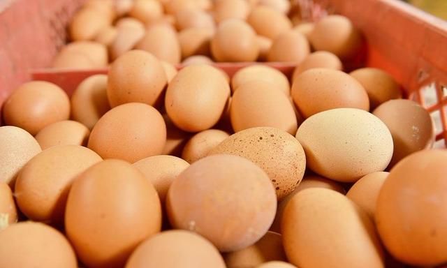 怎么防止鸡蛋放时间长,鸡蛋怎么存放避免发霉变质图6