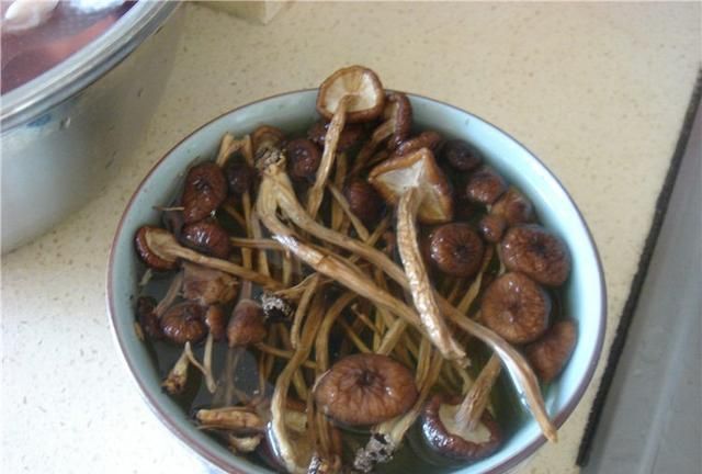 茶茶树菇怎么做好吃,茶树菇可以和枸杞一起炖汤图24