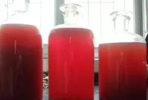 泡酒放什么颜色变红(蓝莓泡酒的功效和作用)图7