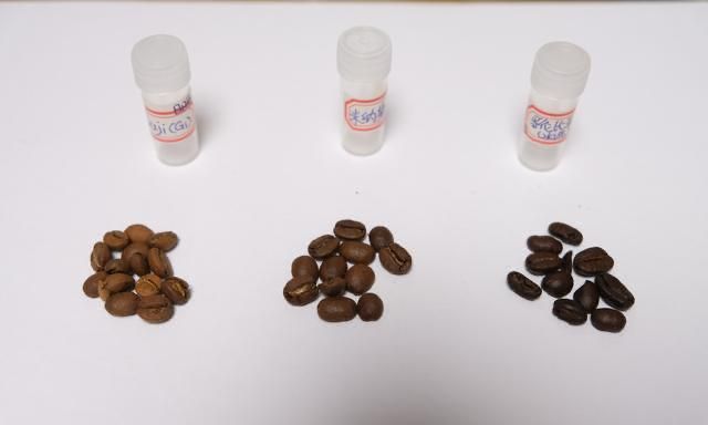 如何分别咖啡豆好坏,怎么挑咖啡豆图2