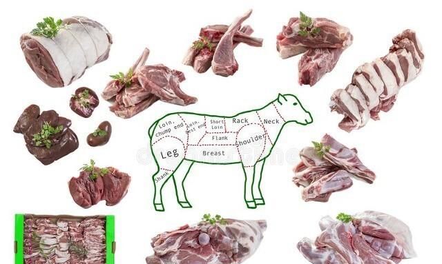 单县羊肉汤的正宗做法简单好喝,单县大锅羊肉汤的做法及配料图5