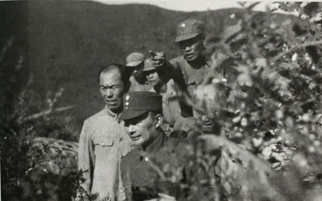 解放战争时，林彪的代号为101，粟裕的代号为502，那毛主席的呢？