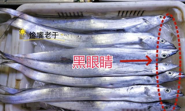 冬天买鱼，这5种鱼都是野生海鱼，不能人工养殖，遇到后不要错过
