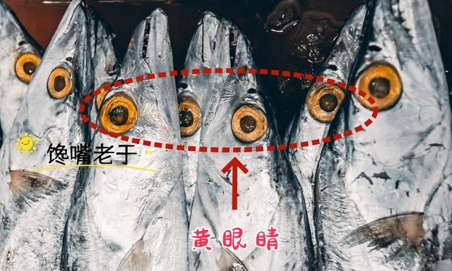 冬天买鱼，这5种鱼都是野生海鱼，不能人工养殖，遇到后不要错过