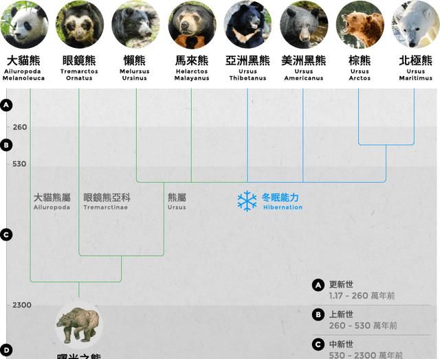 有植物熊猫之称的是什么树图2