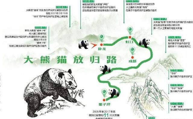 大熊猫生活在什么地方?,大熊猫生活在什么地方作文400字图6