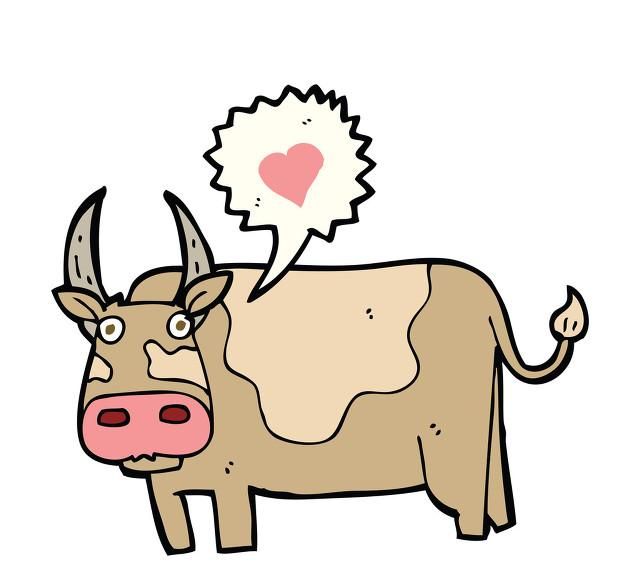 十二生肖中,属牛的人最可怕的一面是什么图5